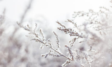 Rauhnächte und Winterzeit