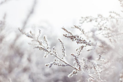 Collection image for: Rauhnächte und Winterzeit