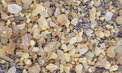 Lavendel
